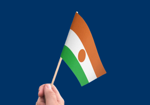 Niger flag